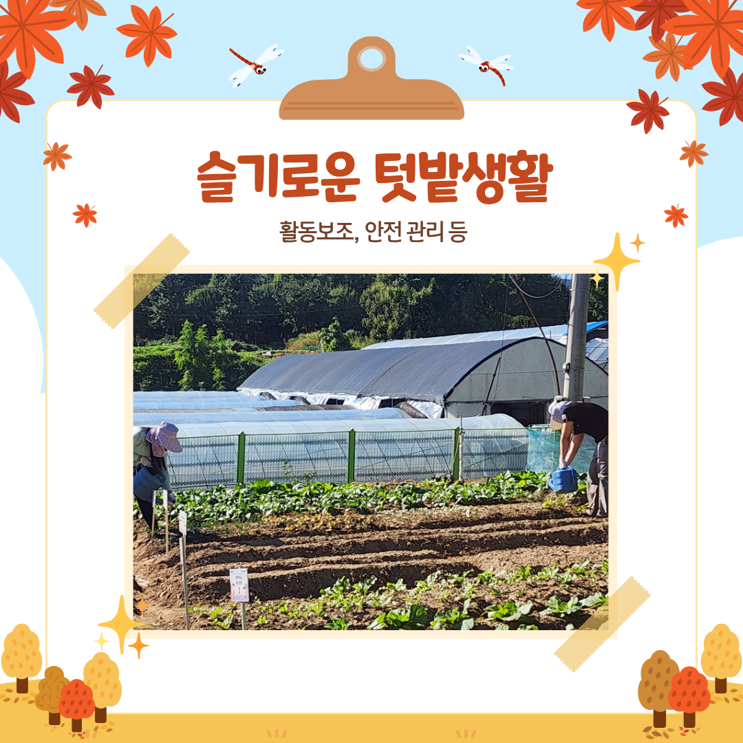1790757274.68iNontqdGmS17.png
